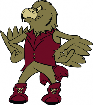 Denver Pioneers 1999-2003 Mascot Logo decal sticker