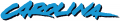 Carolina Panthers 1995-2011 Wordmark Logo 01 Sticker Heat Transfer
