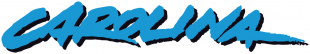 Carolina Panthers 1995-2011 Wordmark Logo 01 decal sticker