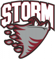 Guelph Storm 2007 08-2017 18 Primary Logo Sticker Heat Transfer