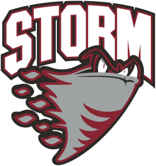 Guelph Storm 2007 08-2017 18 Primary Logo decal sticker