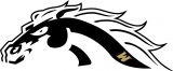 Western Michigan Broncos 2016-Pres Misc Logo 01 decal sticker