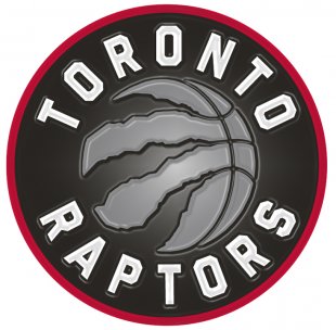 Toronto Raptors Plastic Effect Logo Sticker Heat Transfer