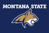 Montana State Bobcats 2013-Pres Alternate Logo 07 decal sticker