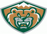 Everett Silvertips 2012 13-Pres Alternate Logo decal sticker