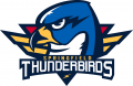 Springfield Thunderbird 2016 17-Pres Primary Logo Sticker Heat Transfer