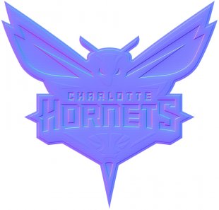 Charlotte Hornets Colorful Embossed Logo Sticker Heat Transfer