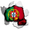 Fist Portugal Flag Logo decal sticker