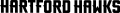 Hartford Hawks 2015-Pres Wordmark Logo 03 decal sticker