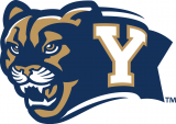 Brigham Young Cougars 2005-2014 Alternate Logo decal sticker