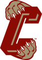 College of Charleston Cougars 2003-2012 Secondary Logo decal sticker