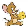 Tom and Jerry Logo 11 Sticker Heat Transfer