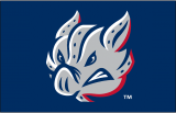 Lehigh Valley IronPigs 2014-Pres Cap Logo decal sticker