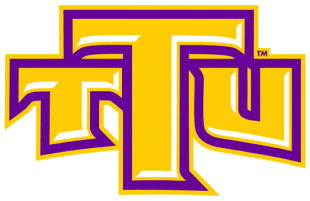 Tennessee Tech Golden Eagles 2006-Pres Alternate Logo 02 decal sticker