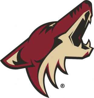 Arizona Coyotes 2014 15-Pres Primary Logo decal sticker