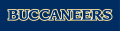 ETSU Buccaneers 2014-Pres Wordmark Logo decal sticker