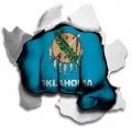 Fist Oklahoma State Flag Logo Sticker Heat Transfer
