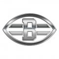 Cleveland Browns Silver Logo decal sticker