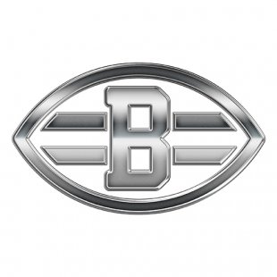 Cleveland Browns Silver Logo Sticker Heat Transfer