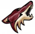 Arizona Coyotes Crystal Logo decal sticker