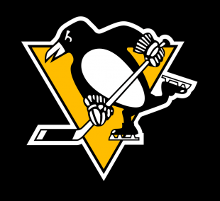 Pittsburgh Penguins 2014 15-2015 16 Throwback Logo Sticker Heat Transfer