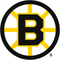 Boston Bruins 1949 50-1994 95 Primary Logo decal sticker