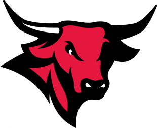 Nebraska-Omaha Mavericks 2011-Pres Secondary Logo decal sticker