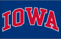 Iowa Cubs 2010-2014 Cap Logo decal sticker