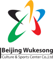 2008 Beijing Olympics 2008 Stadium Logo decal sticker
