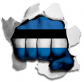 Fist Estonia Flag Logo Sticker Heat Transfer