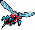 Delaware State Hornets 2004-Pres Misc Logo 02 decal sticker