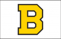 Boston Bruins 1940 41-1947 48 Jersey Logo Sticker Heat Transfer