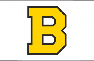 Boston Bruins 1940 41-1947 48 Jersey Logo decal sticker