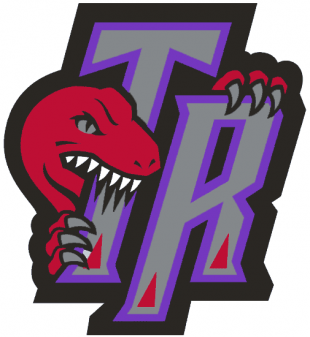 Toronto Raptors 1995-2006 Alternate Logo 01 decal sticker