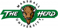 Marshall Thundering Herd 2001-Pres Alternate Logo 03 Sticker Heat Transfer