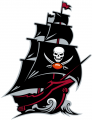 Tampa Bay Buccaneers 2020-Pres Alternate Logo decal sticker