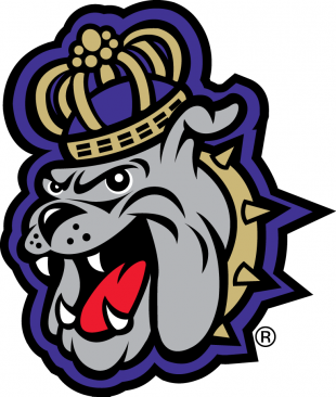 James Madison Dukes 2013-2016 Alternate Logo 01 decal sticker