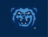 Mobile BayBears 2010-Pres Cap Logo decal sticker