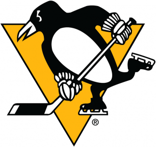 Pittsburgh Penguins 2016 17-Pres Primary Logo decal sticker
