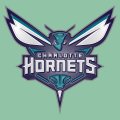 Charlotte Hornets Plastic Effect Logo decal sticker