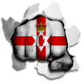 Fist Norther ireland Flag Logo decal sticker