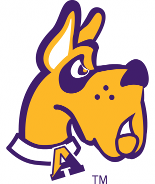 Albany Great Danes 2001-2007 Alternate Logo 02 decal sticker