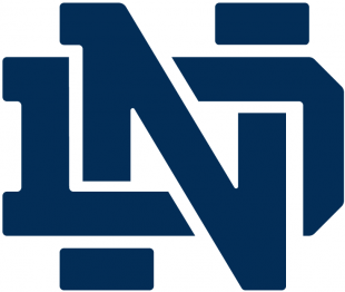 Notre Dame Fighting Irish 1994-Pres Alternate Logo 04 decal sticker