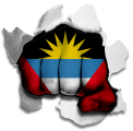 Fist Antigua And Barbuda Flag Logo decal sticker