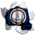 Fist Virginia State Flag Logo Sticker Heat Transfer