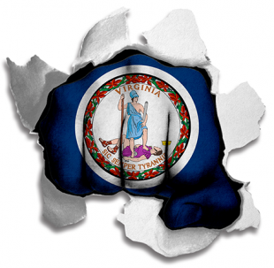 Fist Virginia State Flag Logo decal sticker