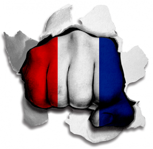 Fist France Flag Logo Sticker Heat Transfer