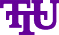 Tennessee Tech Golden Eagles 1997-2005 Primary Logo decal sticker