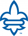 New Orleans Privateers 2013-Pres Alternate Logo 08 Sticker Heat Transfer