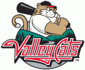 Tri-City Valleycats 2002-Pres Primary Logo decal sticker
